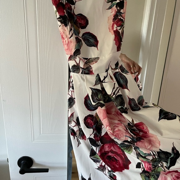 New with tags vintage print rose dress. - Picture 2 of 5